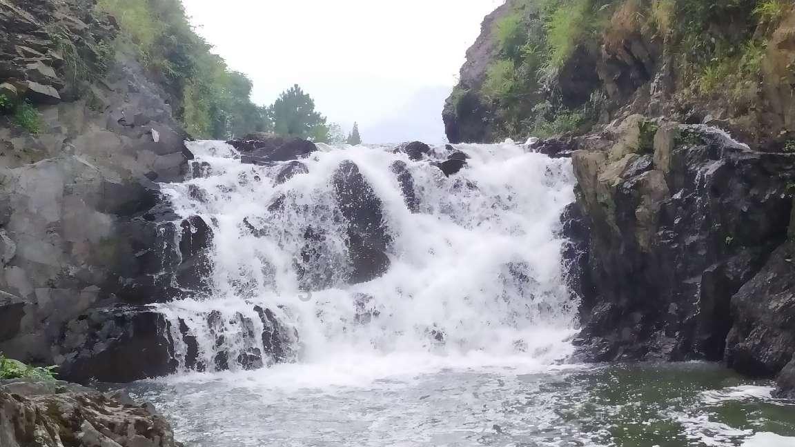 我修的可能是假仙